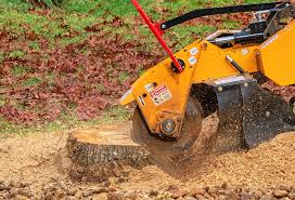 Best Aeration Services  in East Grand Rapids, MI